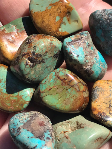 Natural Kingman Arizona Turquoise Tumbled Stones 11 pieces