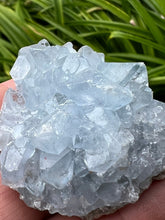 Load image into Gallery viewer, Celestite Raw Crystal Mineral Specimen