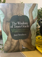 Load image into Gallery viewer, The Wisdom Of Trees Oracle