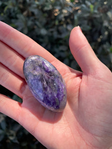 Charoite Purple Polished Palm Massage Stone Crystal