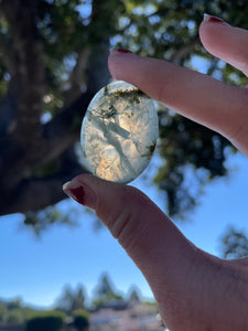 Prehnite Cabochon Flat Green Crystal Rock Oval