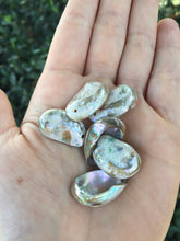 Load image into Gallery viewer, Small Abalone Sea Shell Beads Iridescent Rainbow Set of 6