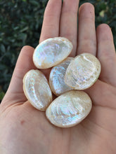 Load image into Gallery viewer, Mother of Pearl Abalone Sea Shell Beads Set of 5