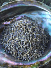 Load image into Gallery viewer, Lavender Loose Purple Buds 1/2 oz Herbal Sachet for Relaxation