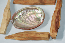 Load image into Gallery viewer, Palo Santo Sticks 4 with Abalone Shell