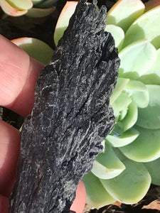 Black Kyanite Raw Crystal Rock Formation Specimen