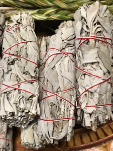 3 California White Sage Dried Leaf Wands Ceremonial Herb