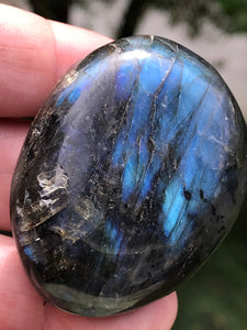 Labradorite Blue Rainbow Flashes Polished Stone Crystal Specimen Feldspar