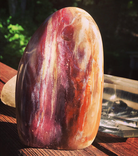 Petrified Wood Standing Polished Stone