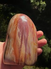 Load image into Gallery viewer, Petrified Wood Standing Polished Stone