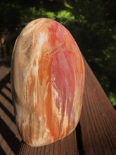 Load image into Gallery viewer, Petrified Wood Standing Polished Stone