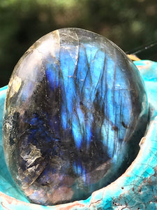 Labradorite Blue Rainbow Flashes Polished Stone Crystal Specimen Feldspar