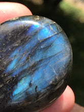 Load image into Gallery viewer, Labradorite Blue Rainbow Flashes Polished Stone Crystal Specimen Feldspar