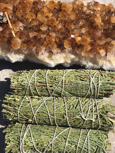 Cedar Wand Dried Leaf Ceremonial Herb