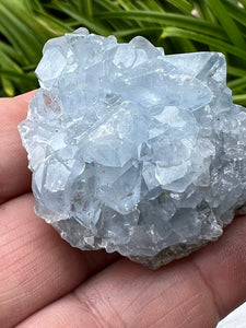 Celestite Raw Crystal Mineral Specimen