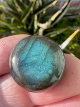 Load image into Gallery viewer, Labradorite Blue Moon Cabochon Round Flashes Polished Stone Crystal Specimen Feldspar