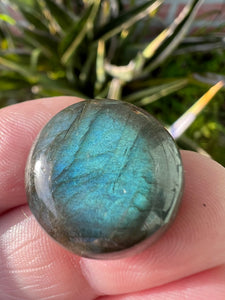 Labradorite Blue Moon Cabochon Round Flashes Polished Stone Crystal Specimen Feldspar
