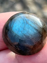 Load image into Gallery viewer, Labradorite Blue Moon Cabochon Round Flashes Polished Stone Crystal Specimen Feldspar